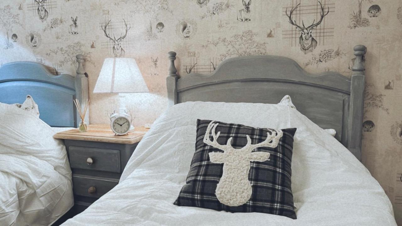 Canfranc Home Bagian luar foto