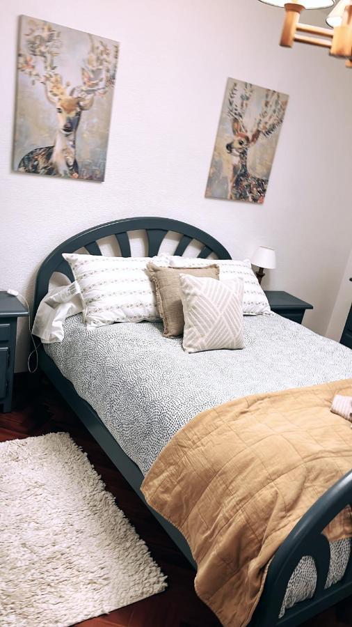 Canfranc Home Bagian luar foto